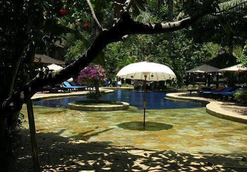 Rambutan Boutique Hotel Lovina  Luaran gambar